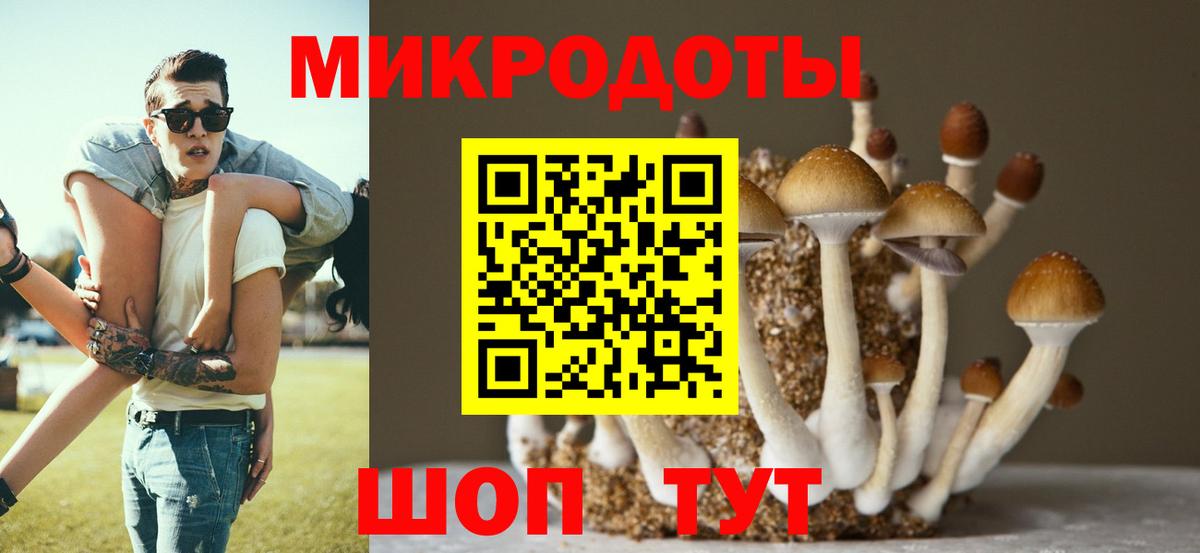 Галлюциногенные грибы Psilocybine cubensis Лабинск