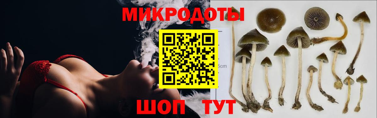 Лабинск  Галлюциногенные грибы Magic Shrooms  Псилоцибиновые грибы Psilocybe  Вход с VPN 